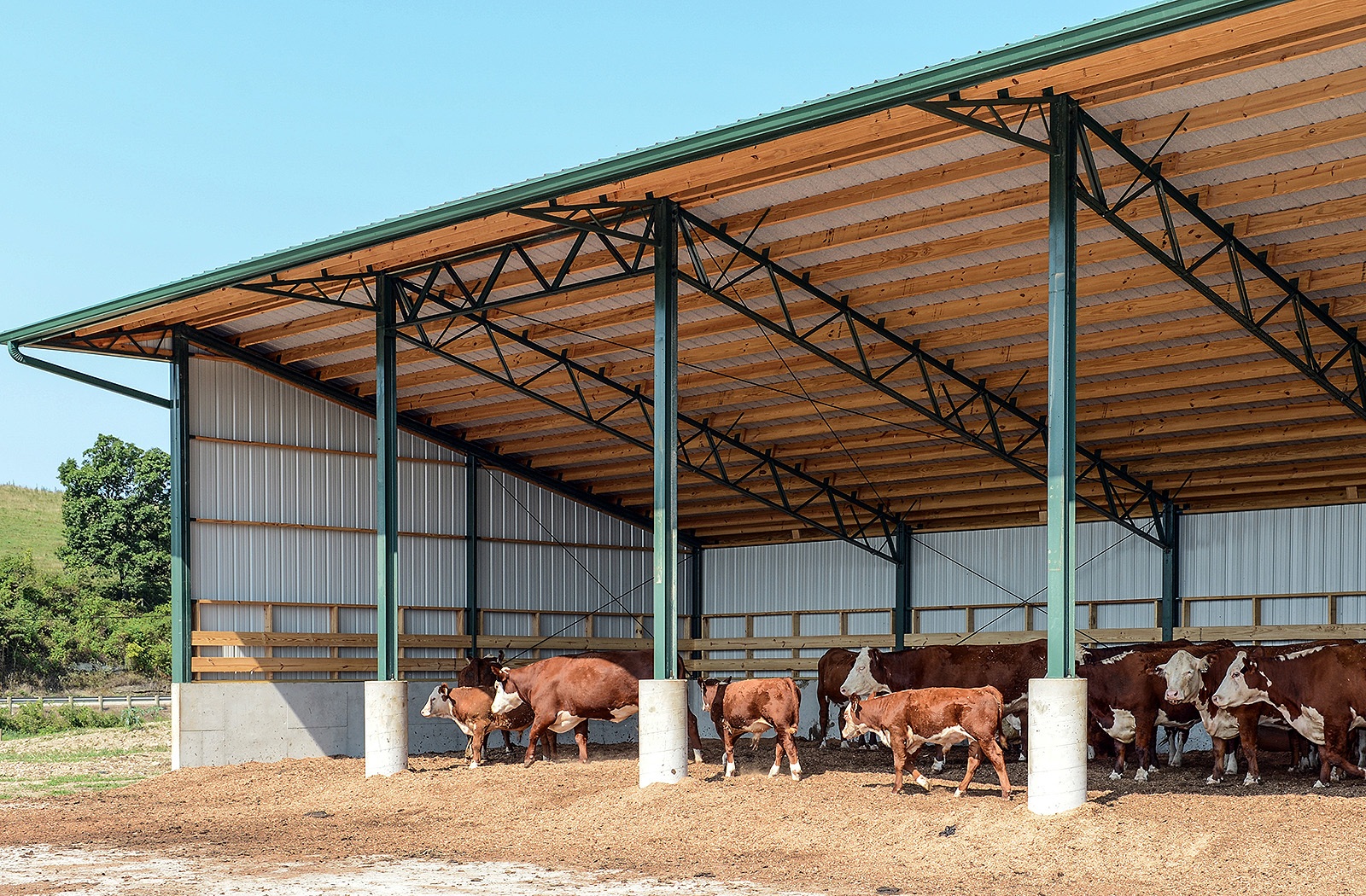 livestock-09