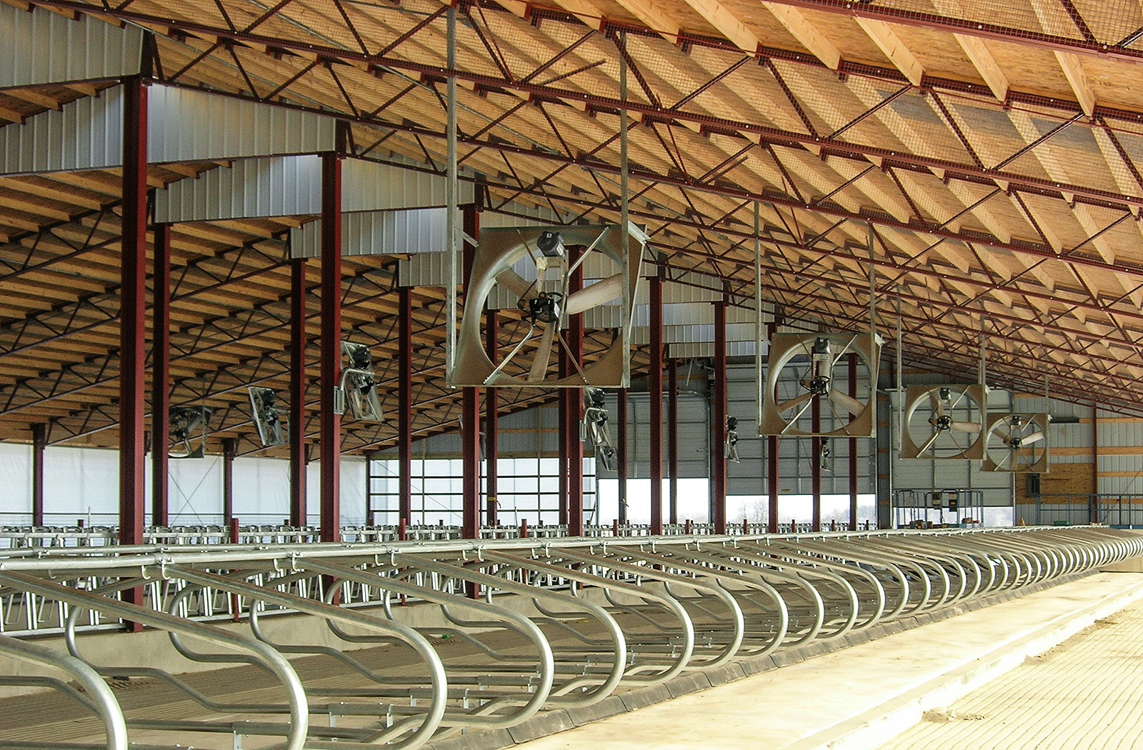 livestock-23