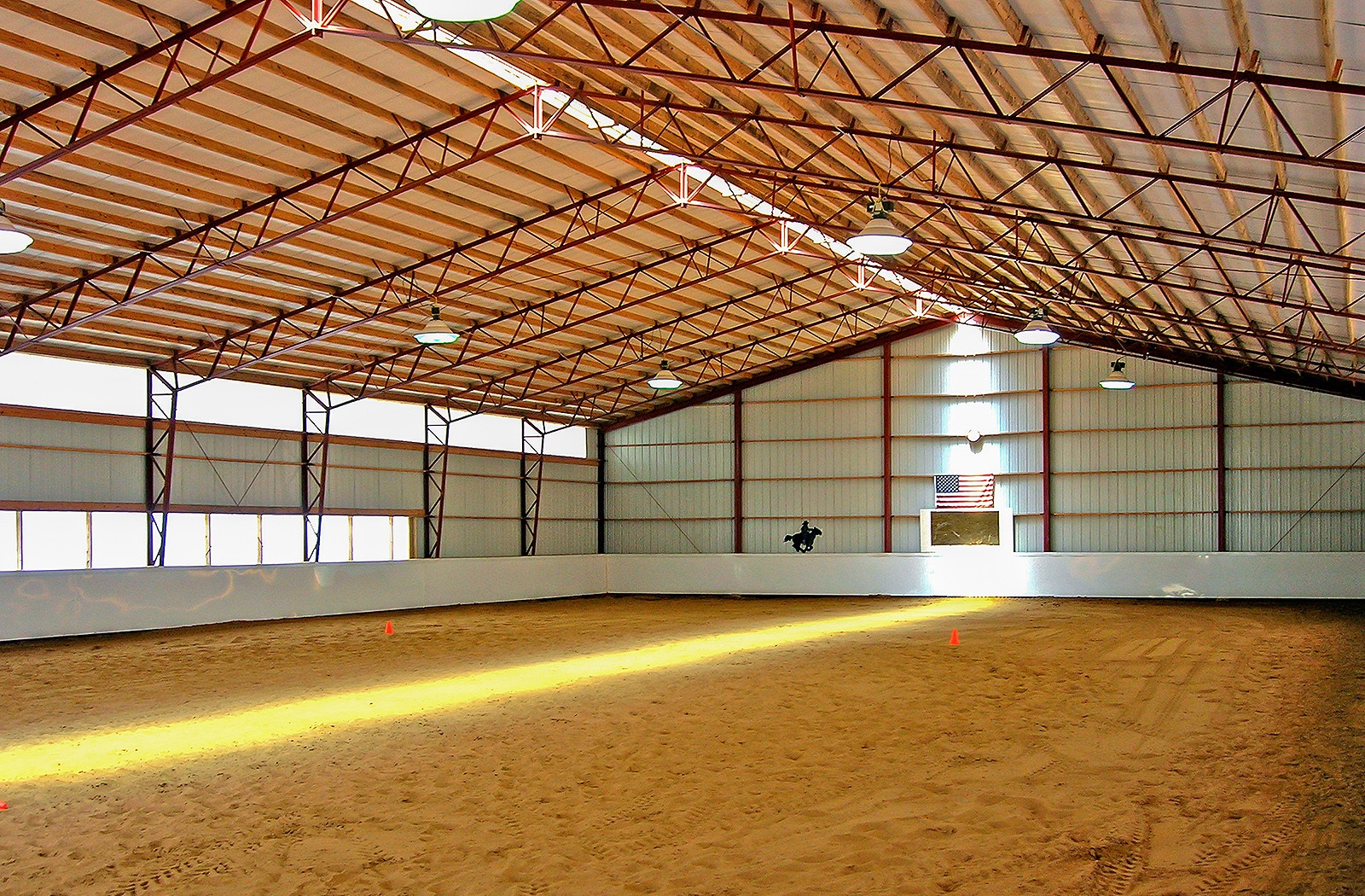 equine-12