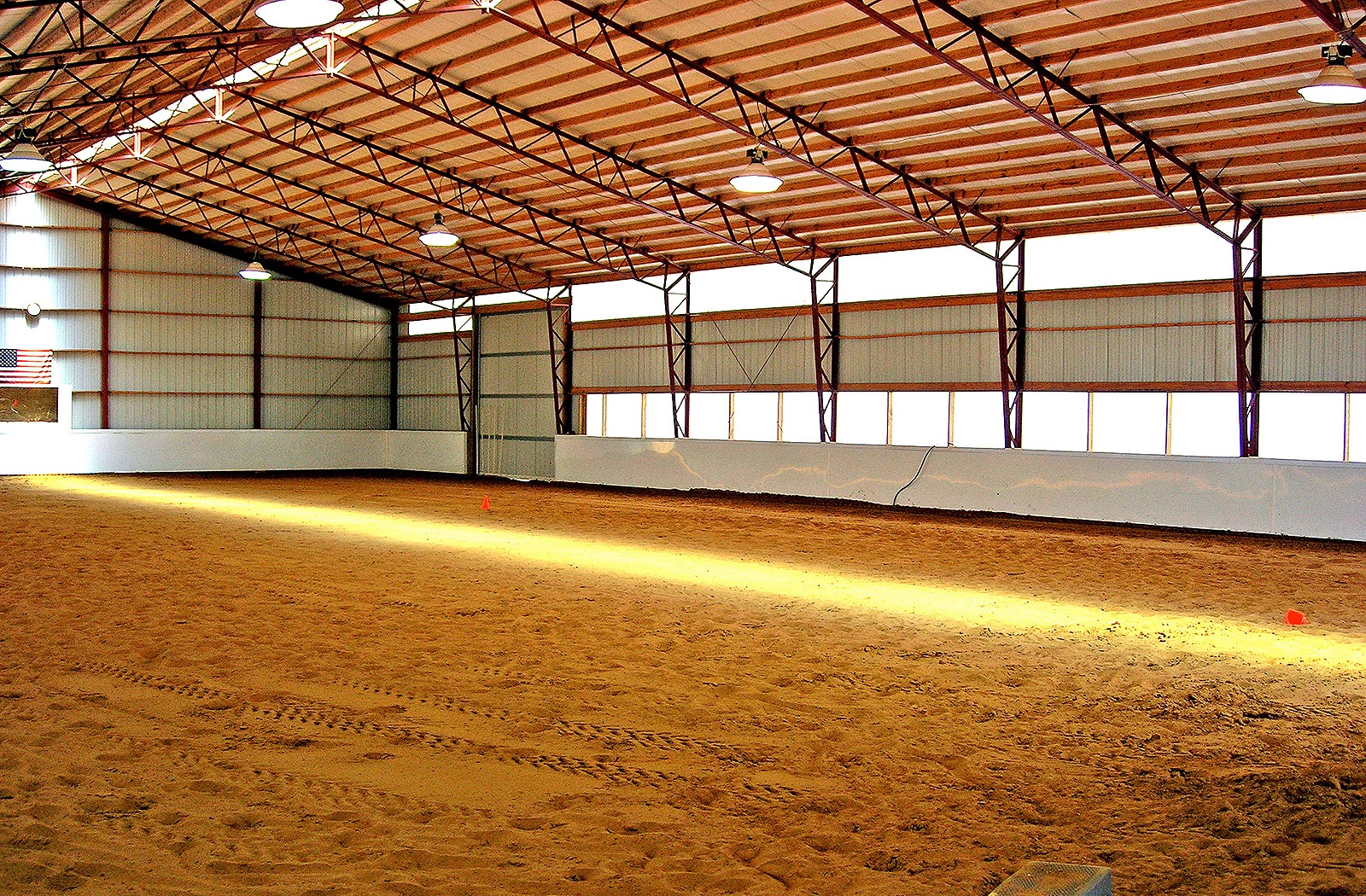 equine-13