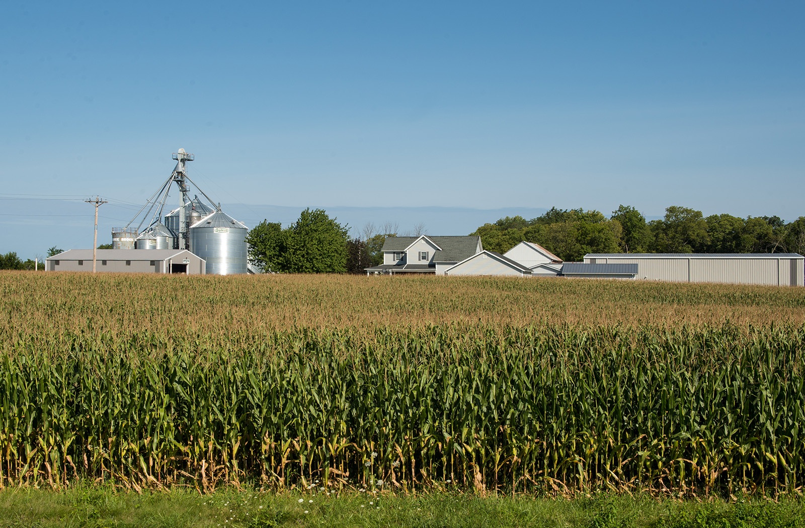 grain-bins-01