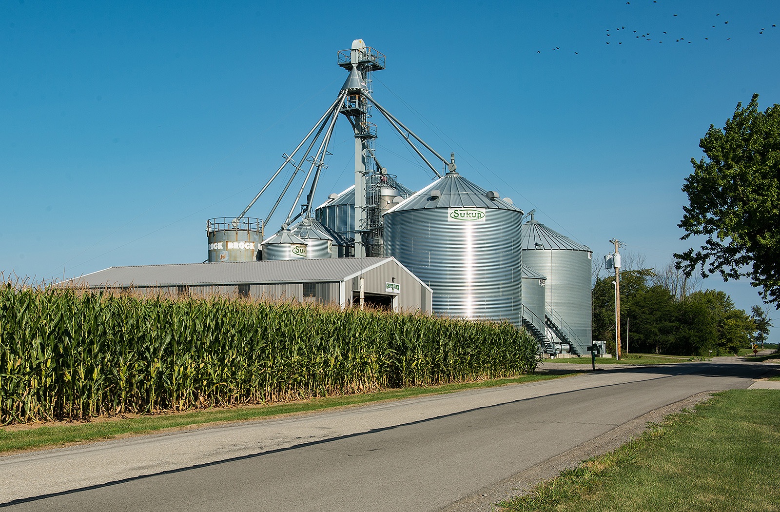 grain-bins-02